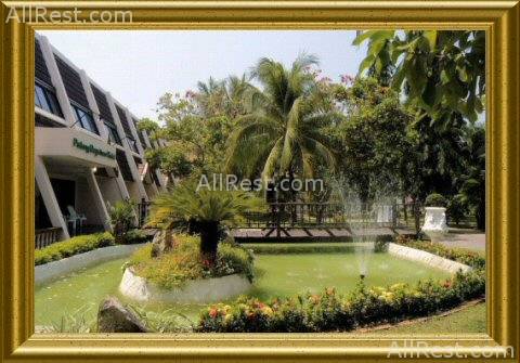 Patong Bayshore Hotel 5